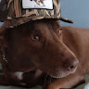 Meet your Posher, Johnny.